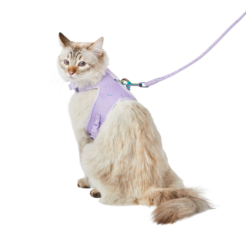 Cat Collars & Leashes