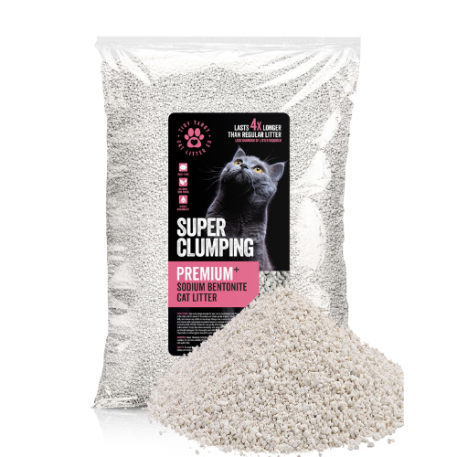 Cat Litter