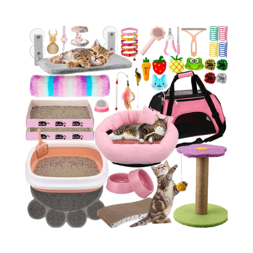 Toys & Accessories